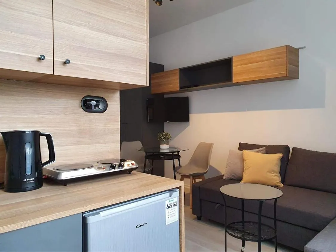 Studio Przy Motlawie IV Apartment Gdansk Poland